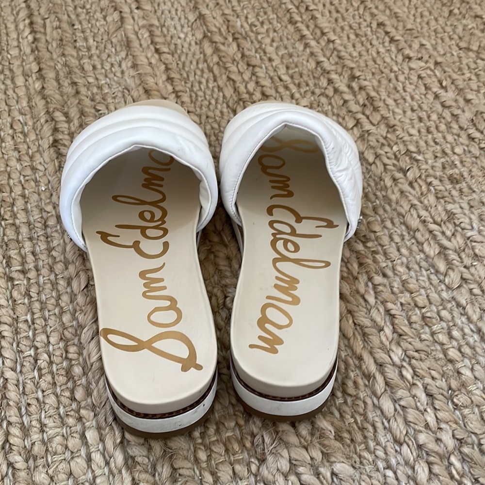 Sam Edelman Cloud Platform Slides - image 2